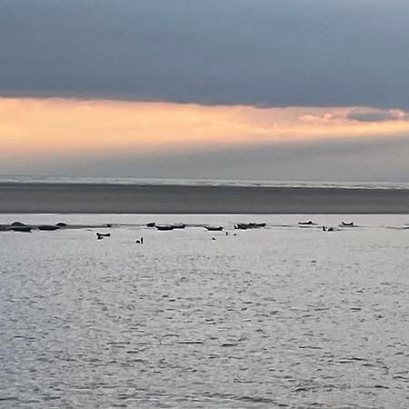 Gite Chti Picard Parking Prive Gratuit Et 100M De La Plage Berck Kültér fotó